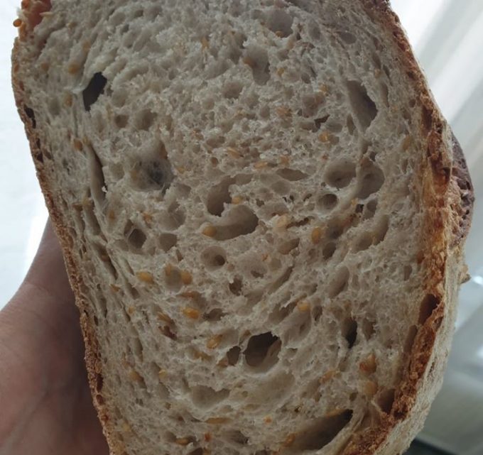 Biely chlebík